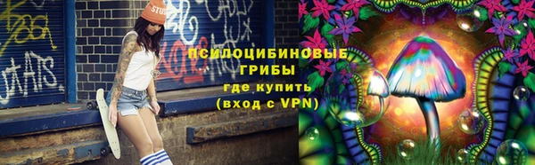 эйфоретик Пересвет