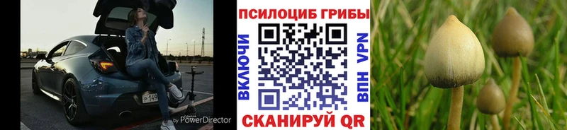 Галлюциногенные грибы GOLDEN TEACHER  KRAKEN как зайти  Орлов  купить наркотики цена 
