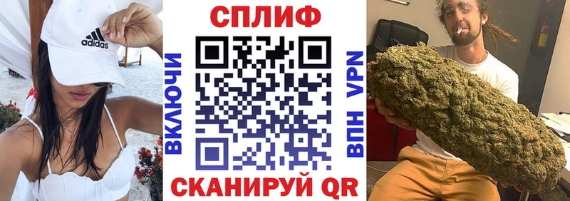 МАРИХУАНА сатива  Орлов 